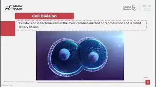 NSMO Olympiad -Science/Biology- Lesson 15 Introduction to Cell Division