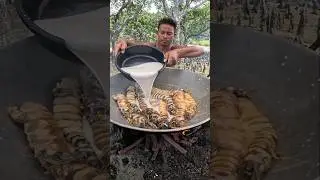 Cooking Mantis Shrimp With Coconut Milk! 🦐🥥