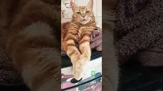 this is G