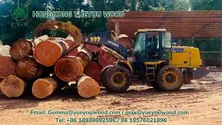 YUEYOU WOOD-African wood supplier