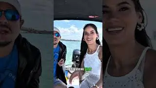 Update on Boston Whaler
