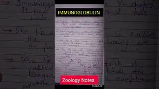 IMMUNOGLOBULIN ZOOLOGY NOTES #biology #vbu #biologydegree #science #bsczoology