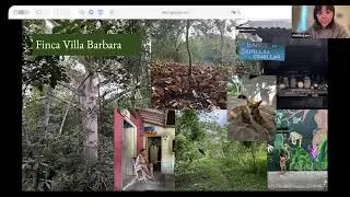 Frontiers in Environmental Peacebuilding