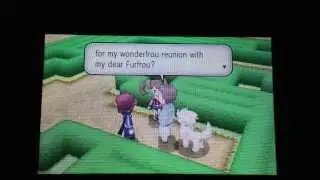 Pokemon X and Y Furfou's Puzzle