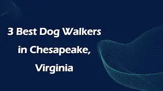 3 Best Dog Walkers in Chesapeake, Virginia | Dog Walking Services