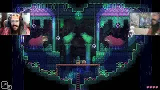 Animal Well #8