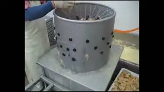 Chicken Gizzard Cleaning Machine