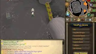 log in glitch rsps 317