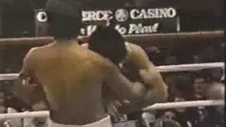 Marco Antonio Barrera-Justo Zuniga highlights boxing video