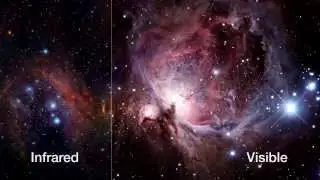 The Orion Nebula Seen in Infrared and Visible Light