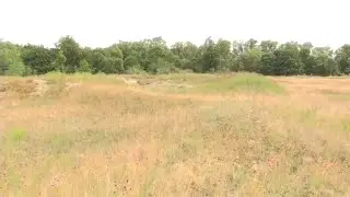 Neßsand Live-Video - Teil 3