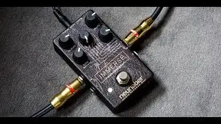 Neunaber - Immerse Reverberator - The Best Reverb on the market?