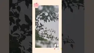 #randomday ✨️😊