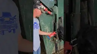 Midnight Cattle Tags electric ear tag gun definitely saved my arm tagging cows and calves this year.