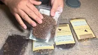 Plum Deluxe Loose Leaf Tea Sampler | Whole Loose Tea Leaves || Product Review