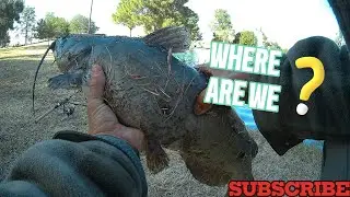Fishing at a local urban pond in Pinal County! Nonstop action?? Get out there and fish! God Bless!!