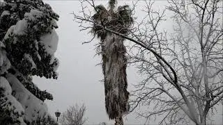 Madrid Snow