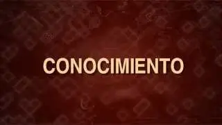 Video Animation | Who we are? lalgs.com  Spanish Version