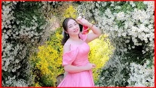 Kỷ niệm tại vườn cúc Hoạ mi của Tú Khương và vườn bưới chiều thu nắng đẹp 2025