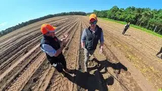 Nick Goff from Greens of Soham filmed during the Beanstalk.Global & CUPGRA UK Potato Tour.