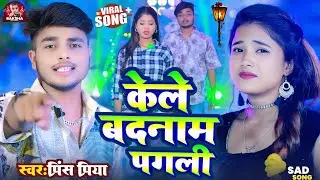 #Audio #bewafai gana #Prince Priya ka// केले बदनाम पगली kele badanam pagali