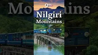 🌄 Explore the Mystical Nilgiri Mountains! | NEXT MAPS