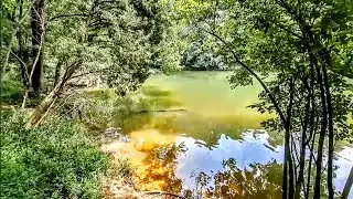 The Swim Hole IS IMPORTANT - Summer Wells Case