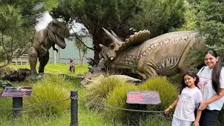 Butterfly creek auckland #butterflycreekauckland #auckland #zoo #animal #soniadagar #travel #youtube