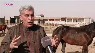 ١٣ ديسمبر ٢٠٢٥