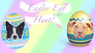 Dog Easter Egg Hunt