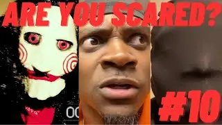@Taileon - Recent VIdeo Compilation 10 (Reaction) #recklessfoundation #funnyvideos  #funnyclips