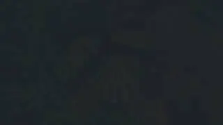 Stranded Deep - Load in Dark Screen Glitch
