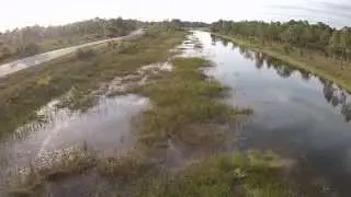Florida by Drone: Babcock - Webb wma Punta gorda FL.