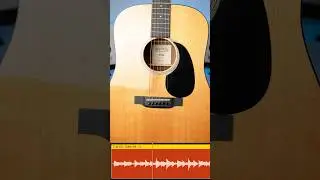 Recording Guitar With The Neumann TLM 102!