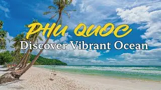 Phu Quoc: Discover the beautiful ocean world