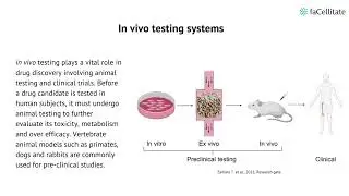 In vivo vs in vitro systems