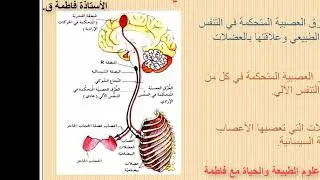 تأثير النظام العصبي الإعاشي على النشاط التنفسي للسنة أولى ثانوي