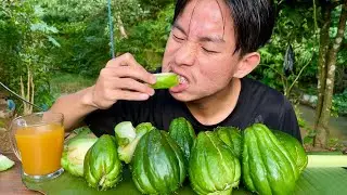 Green summer squash eating raw || vegetable mukbang