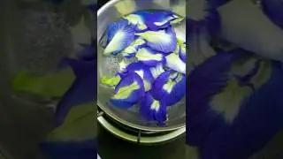 Butterfly pea flower hacks Natural colour #shorts #satisfying