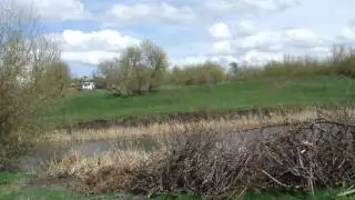 DSCF0908