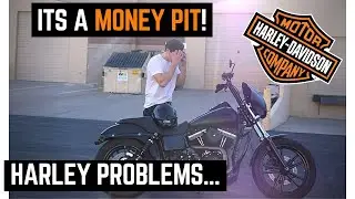 My Harley Davidson Dyna is a MONEY PIT!  One Year Ownership Problems