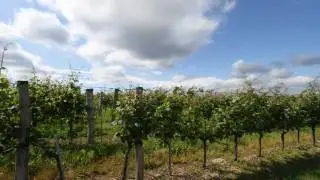 Gemeinde H&ouml;flein Pr&auml;sentationsfilm 2011