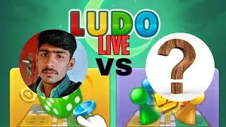 Online ludo playing live