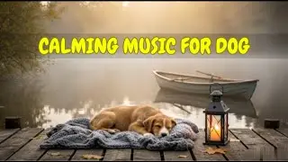 12 HOURS of Dog Music for Nighttime Peace and Comfort 🐾🎶 | Calm Stress, Barking, and Whining