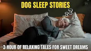 3 Hours Dog Stories to Help You Sleep &ndash; Peaceful Tales for a Deep, Restful Sleep
