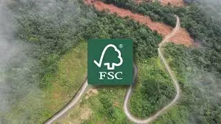 FSC and Packaging: Advancing Sustainable Packaging Solutions