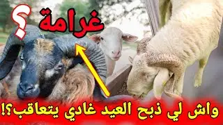 حقيقة غرامة مالية واش بصح ممنوع نذبحو العيد فالمغرب؟
