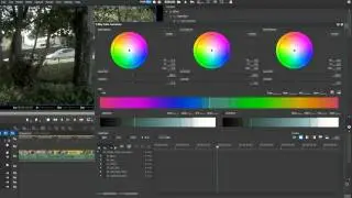 VLOG and LUTS Part 3 - Grass Valley EDIUS 8