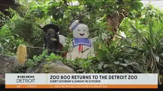 Zoo Boo kicks off on Oct. 7 at Detroit Zoo