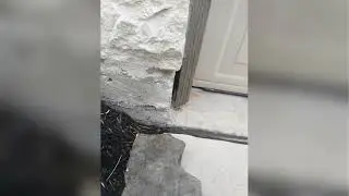 Comprehensive Pest Control & Exterminator Services in Cypress, Katy & Houston